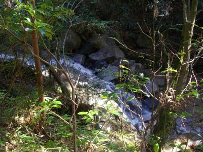 白菊の滝
