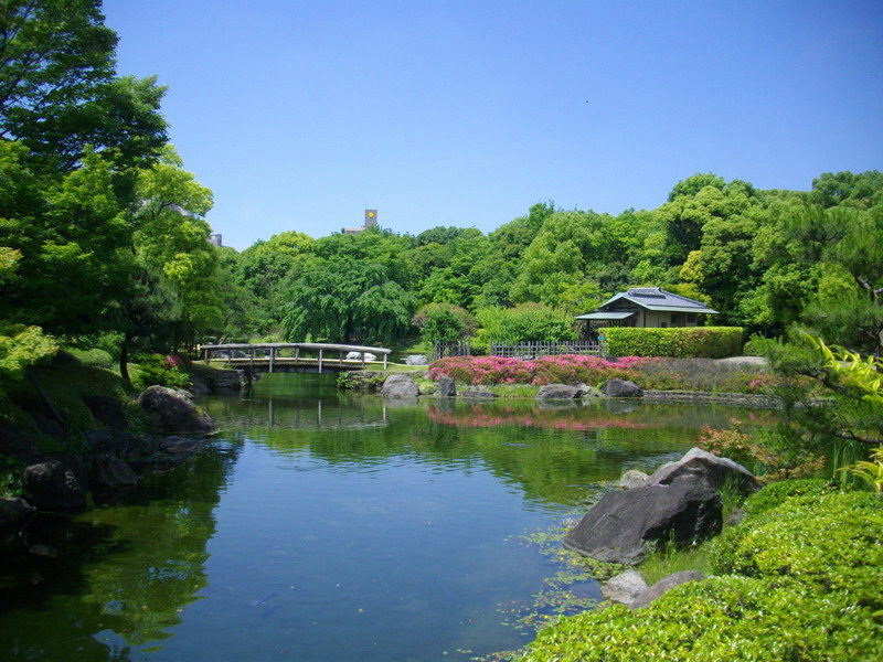 Thumbnail of post image 151