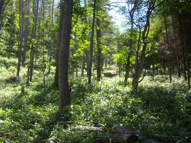 Thumbnail of post image 098