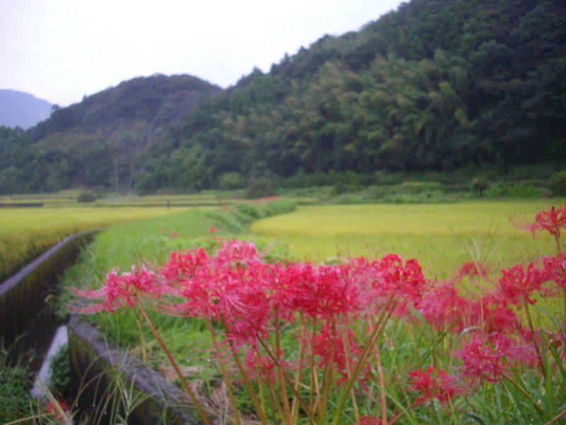 Thumbnail of post image 061