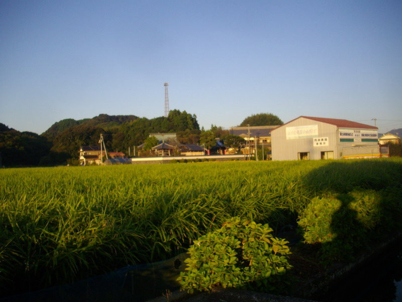 Thumbnail of post image 183