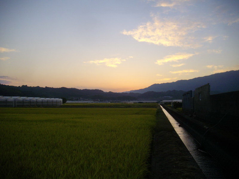 Thumbnail of post image 142