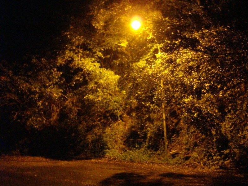 Thumbnail of post image 091