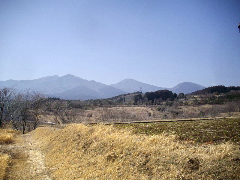 Thumbnail of post image 177